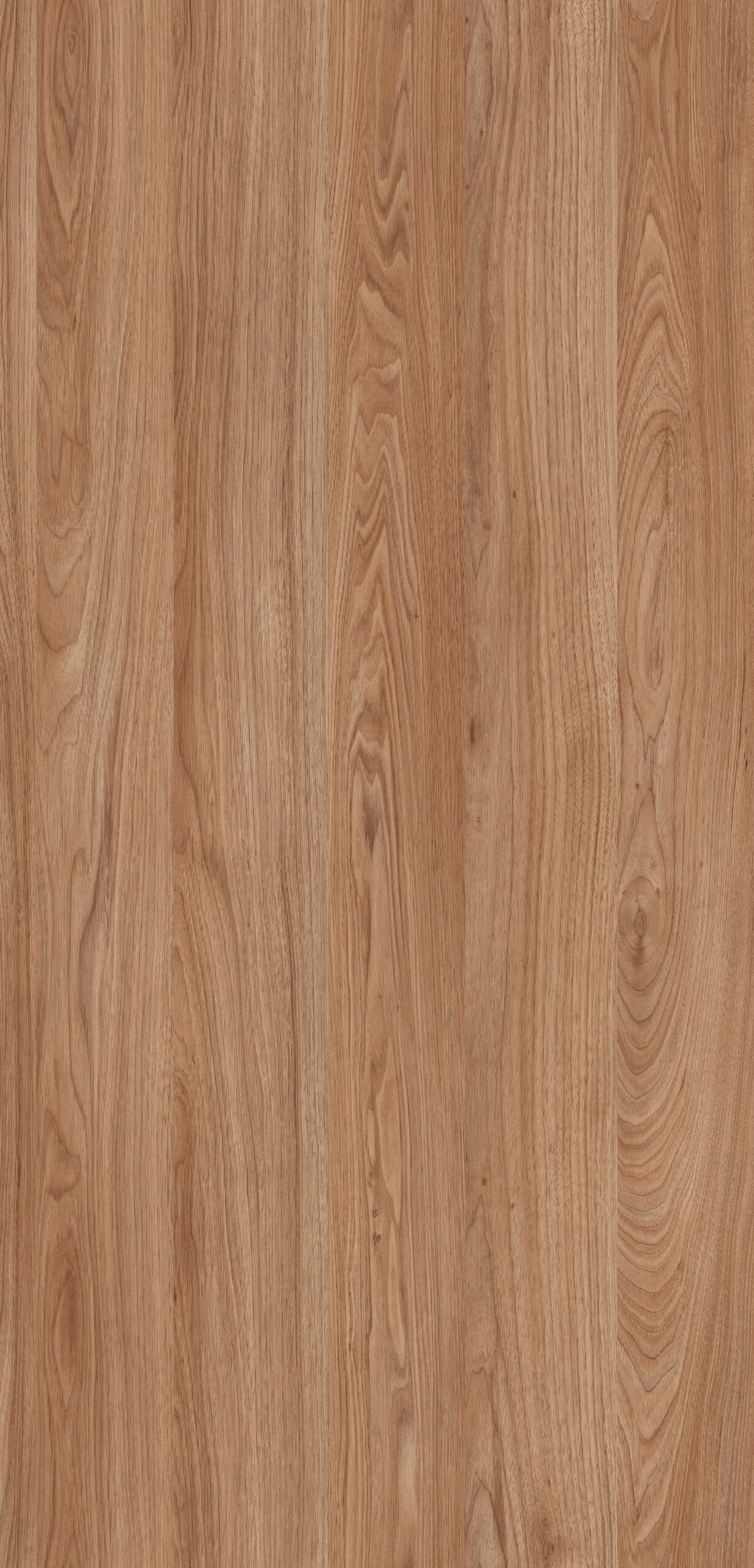 Alvic İthal Lak Nogal Rosales 02