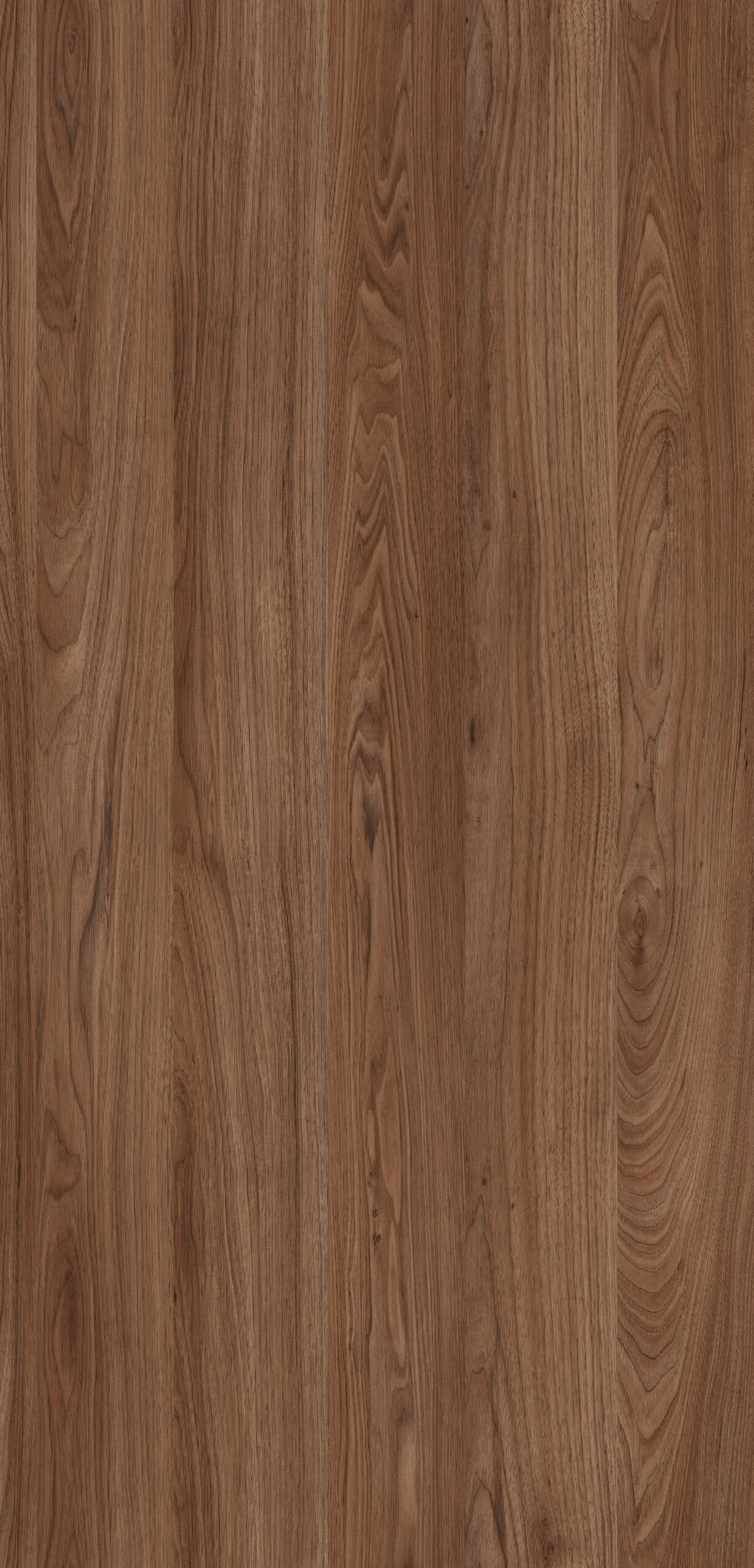 Alvic İthal Lak Nogal Rosales 03