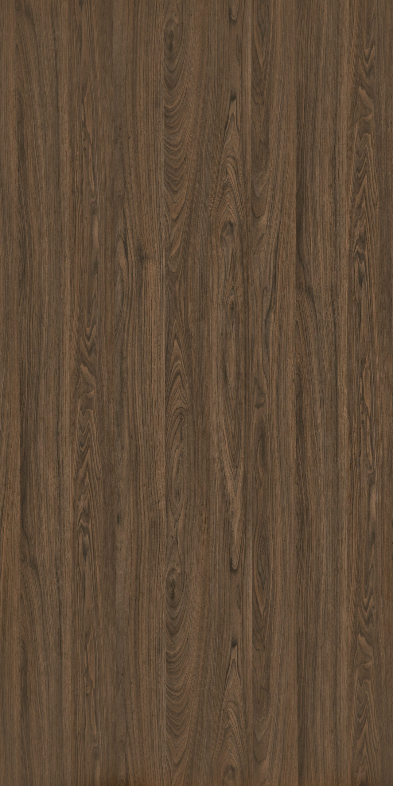 Alvic İthal Lak Nogal Rosales 03_Alvic